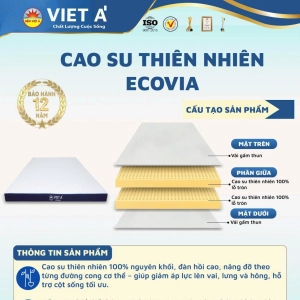 CAO SU THIÊN NHIÊN ECOVIA