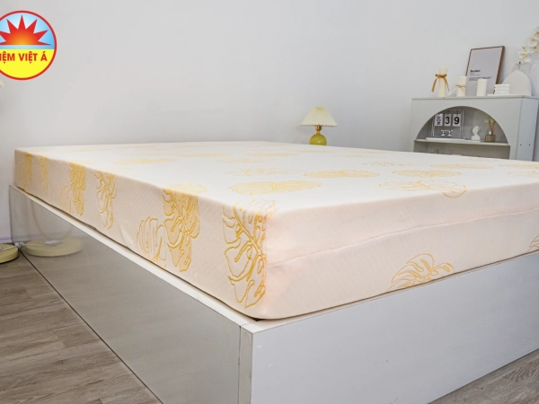 VINA FOAM LATEX