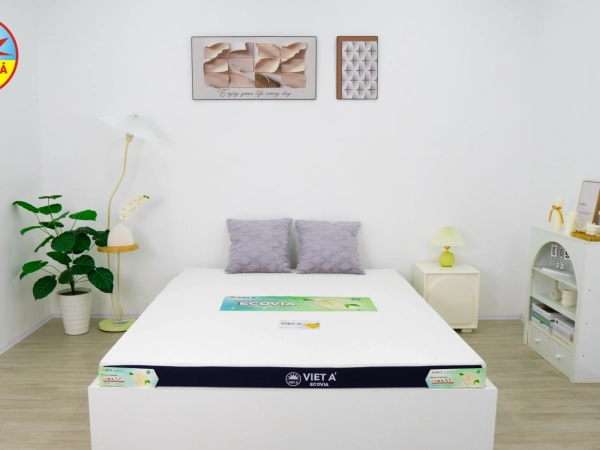 CAO SU THIÊN NHIÊN ECOVIA