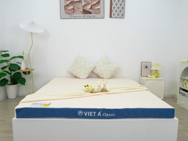 CAO SU THIÊN NHIÊN CLASSIC