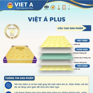 VIỆT Á PLUS