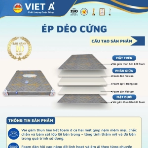 ÉP DẺO CỨNG