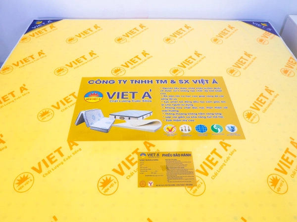 VIỆT Á PLUS