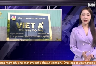 Nệm Việt Á Gửi Lời Tri Ân Sâu Sắc Đến Quý Khách Hàng Đã Tin Tưởng Và Đồng Hành