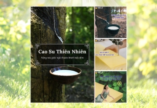 Cao Su Thiên Nhiên Việt Á - dòng nệm cho người đau lưng đáng mua nhất