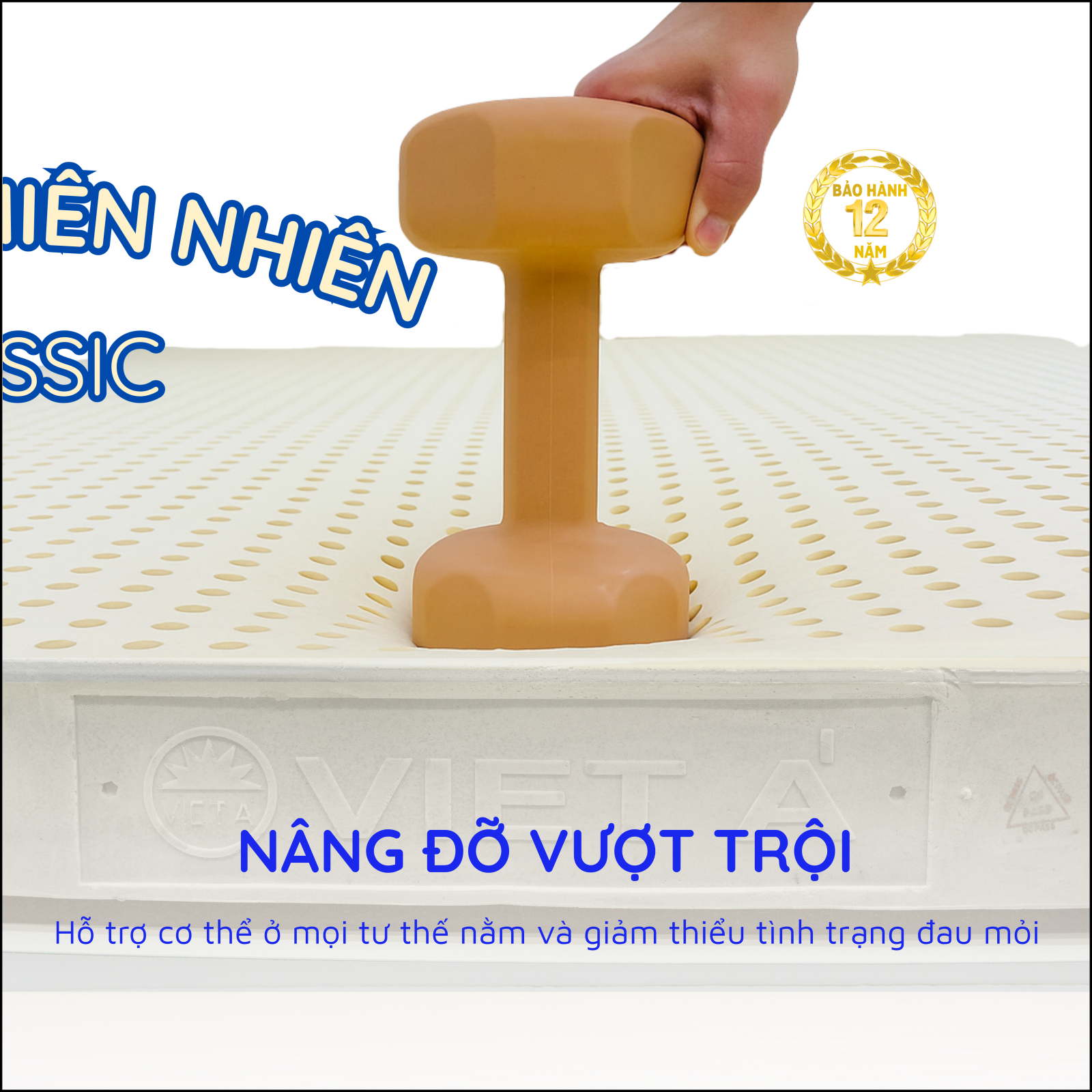 Đàn hồi tối ưu